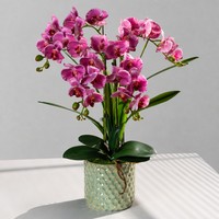 Orchidée Phalaenopsis artificielle réaliste faite à la main, plante en pot, fleur en soie blanche, pot en céramique, décoration de table pour la maison ou le bureau