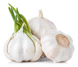 2024 <b>Fresh</b> Normal White <b>Garlic</b> / Red Galics - Product Image 2