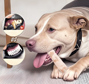 VIET FARGIMEX Directo de Fábrica Natural Café Madera Perro Masticar Juguete Duradero y Ecológico para Masticadores Agresivos - Product Image 1