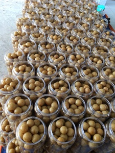 Pots Mason de limes marinées traditionnelles du Vietnam de HAUTE QUALITÉ SALÉ Limes marinés SAUME Boisson aux agrumes COOK Vente en gros Exportation Douce - Product Image 6