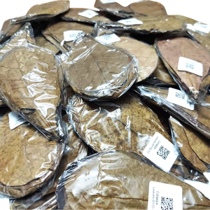 ใบแคทับป้าใบอัลมอนด์อบแห้งจากอินเดียสำหรับปลาขนาดต่ำกว่า10ซม./3.93 "บรรจุ500ขายส่ง - Product Image 1