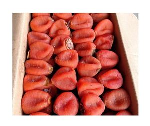 Caqui seco natural de alta calidad-Sabor dulce suave y textura húmeda suave Caqui seco natural para cocina asiática - Product Image 3