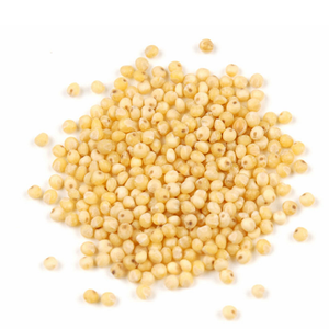 Factory <b>Supply</b> Dried Proso Pearl Millet Seed for Animal <b>Feed</b> - Product Image 2