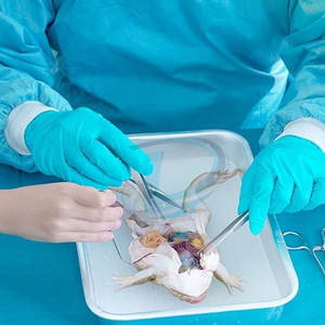 Couteaux à scalpel en gros, couteaux à scalpel de haute qualité, couteaux à scalpel de qualité supérieure à vendre - Product Image 5