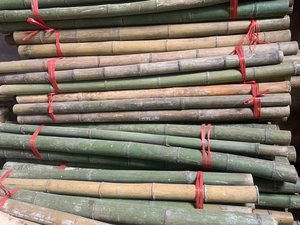 Poteau de bambou sec et fournisseur de bambou en gros extérieur jaune nature brut fabriqué au Vietnam - Product Image 2