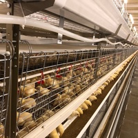 Système de cages à batterie pour volailles à automatisation complète de type H pour poulets de chair