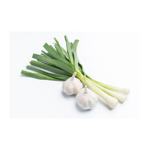 Suministro a granel de ajo fresco a bajo precio, perfecto para cocinar y procesar alimentos - Product Image 1