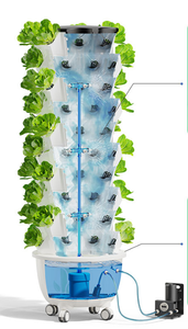 Sistemas Hidropónicos Totalmente Integrados con Torre Aeropónica para la Producción Comercial de Cultivos - Product Image 6