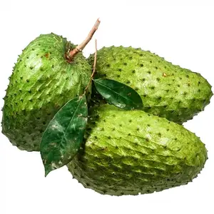 Hot Sale Graviola Soursop Fruit/ Cheap Frozen Soursop Fruit Ms Sophie