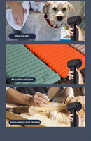 2024 nouvelle tendance souffleur de feuilles magique sans fil puissant pistolet à air comprimé incroyable souffleur de feuilles de jardin et aspirateur pour animal de compagnie de camping