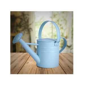 Mini arrosoir de plantes de bidon d'eau en métal enduit de poudre de couleur avec poignées pour une utilisation dans le jardin - Product Image 2