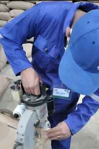 Semillas de Eneldo Egipcio de Primera Calidad, Certificadas ISO22000, Tipo de Procesamiento Crudo Seco AD, por la Empresa El Ekhlas - Product Image 4