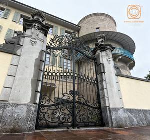 Puertas de Entrada de Hierro Forjado de Primera Calidad, Calidad de Lujo, Resistentes a la Putrefacción, Galvanizadas, Ecológicas, Modelado 3D para Puertas Residenciales - Product Image 2