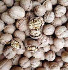 วอลนัทดิบแห้งขายส่ง-เกรดพรีเมียมจากฝรั่งเศส - Product Image 4