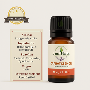 Fournisseur en gros de bonne qualité Huile de base biologique 100% Extrait d'herbes Huile essentielle de graines de carotte pour stimuler la santé de la peau et des cheveux - Product Image 5