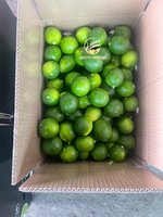 Jeruk Nipis Segar Tanpa Biji Buah Citrus Vietnam Kualitas Premium Grosir Harga Bagus