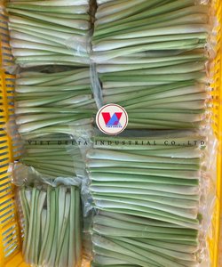 VDELTA Frozen Lemongrass | <b>Gap</b> Certified | 24 Months Shelf Life | Best Price | Fresh Aroma | Vietnam LQF Factory Supply - Product Image 3