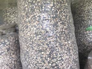 Exportación a granel precio competitivo naranja joven seca del proveedor de Vietnam - Product Image 6