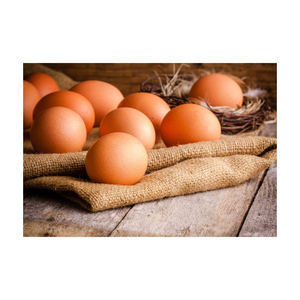 Huevos Frescos de Gallina de Mesa Blancos a Granel para la Venta, Huevos Frescos de Gallina de Mesa de Granja, Huevos Frescos de Gallina de Mesa Marrones en Oferta - Product Image 1