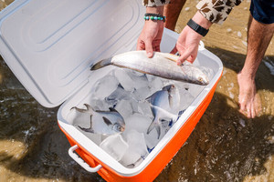 ตู้แช่ฉนวนหุ้มฉนวน HDPE 30L / 31.5 QTS สำหรับการตั้งแคมป์และงานกิจกรรมต่างๆราคาไม่แพง - Product Image 4