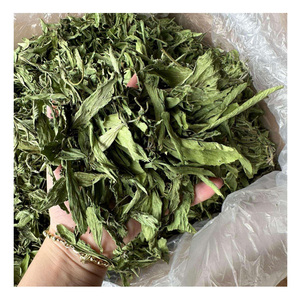 Hoja de Stevia fresca de Vietnam, hoja de Stevia natural para cocinar dulces, hoja de Stevia ecológica en té, simple para hornear - Product Image 1