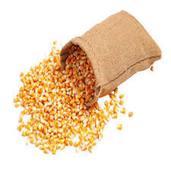 Кукуруза на продажу-корм для животных Кукуруза/треснутая желтая кукуруза, кукуруза для птицы и корм для птиц.