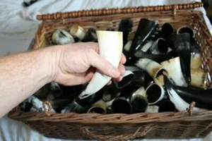 เขาสัตว์ไวกิ้งสำหรับดื่ม ทำด้วยมือ แกะสลักจากเขาสัตว์ธรรมชาติ ปลอดภัยสำหรับอาหาร เหมาะสำหรับดื่มมีด ไอริชเบียร์ งานเฉลิมฉลอง ทนทาน ภาชนะที่มีประวัติศาสตร์ - Product Image 6