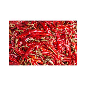 Chile Rojo Entero Seco de Grado Alimenticio, Origen Bélgica, 18 Meses de Vida Útil, Precio Competitivo, Especia Individual - Product Image 1