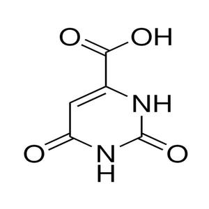 Acido orotico (min. 99%) - Product Image 1