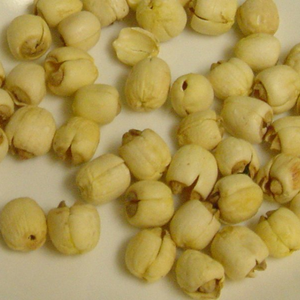 BULK EXPORT DRIED LOTUS SEEDS - HIGH GRADE VIETNAMESE WHOLESALE SUPPLY - Product Image 2