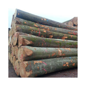 Leña seca al horno de alta calidad, maderas mixtas, roble, fresno, pino, abedul, venta de troncos de leña, haya de roble con material de cambio de fase - Product Image 4