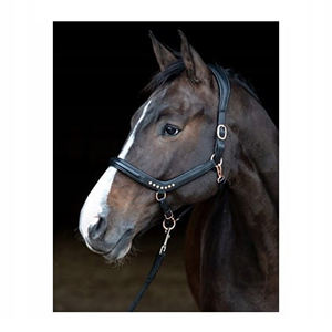 Muserolle anatomique réglable en cuir véritable de qualité supérieure avec équipement de rembourrage Horsekraft - Product Image 1
