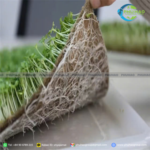 Cinta de Fibra de Coco Vegetal para la Estabilización del Suelo y la Protección del Terreno en el Desarrollo Sostenible y Proyectos Ecológicos - Product Image 2