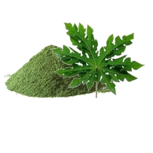 ใบมะละกอแห้งราคาถูกจากเวียดนาม - Product Image 3