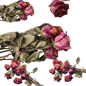 Fleur de rose rouge séchée | Pétales fraîchement emballés pour les thés et les gommages biologiques - Product Image 1