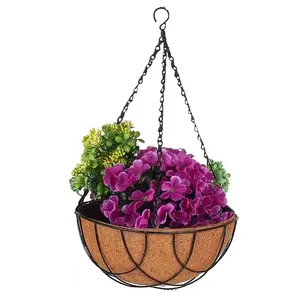 Jeunes noix de coco fraîches cultivées aux États-Unis avec de la pulpe molle Green Husk et de l'eau de coco sucrée pour les boissons domestiques et la consommation directe - Product Image 1