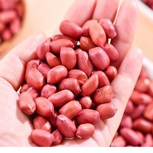 Proveedor directo de Vietnam granos de maní secos para exportación con precios asequibles y calidad constante - Product Image 6