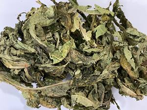 Natural Vietnam Dried Papaya Leaves Carica Papaya Bulk Tea <b>Material</b> Direct Factory Custom <b>Packaging</b> - Product Image 4