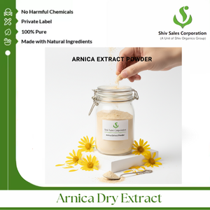 Poudre d'extrait d'arnica conçue pour l'approvisionnement en ingrédients cosmétiques et les formulations de soins personnels - Product Image 4