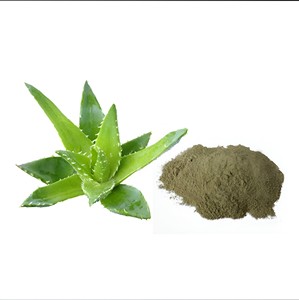 100% extrait d'aloe vera naturel pur 95% aloe-émodine qualité supérieure extrait de plante à base de plantes de qualité alimentaire sac de poudre emballage de tambour - Product Image 2