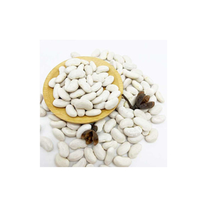 Haricots blancs de spécialité pour les producteurs artisanaux - Product Image 5