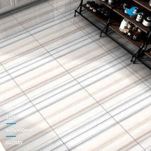 Mejor Moderno 600x600 GVT/PGVT Porcelana Baldosas Estilo Clásico Atractivo Precio Al Por Mayor Del Fabricante Indio Exportador - Product Image 6