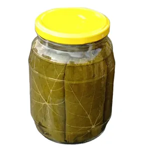 Supplier of Highest-Grade Bulk Selling 18 Months Shelf Lige 100% Natural Grape Leaves in Brine at Lowest Price