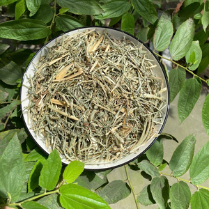 หญ้าห่านแห้งขายส่ง หญ้าห่านแห้ง บรรจุภัณฑ์แบบมีซิปล็อค หญ้าห่านแห้งจากเวียดนาม ใบหญ้าห่านแห้ง ANGLE - Product Image 1