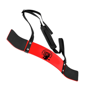 Bláster de brazo de bíceps Curl, con resorte de alta resistencia de acero para Fitness, equipo de gimnasio, mancuerna de alta resistencia, precio de fábrica - Product Image 3