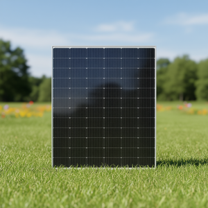 Panel Solar Monocristalino Bifacial Tipo N HJT JXY Solar JXY-E255S con Cubierta Frontal de Vidrio - Product Image 3