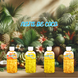 Joyce Nata De Coco boit OEM ODM purée en bouteille avec bon goût saveurs naturelles colorées - Product Image 6