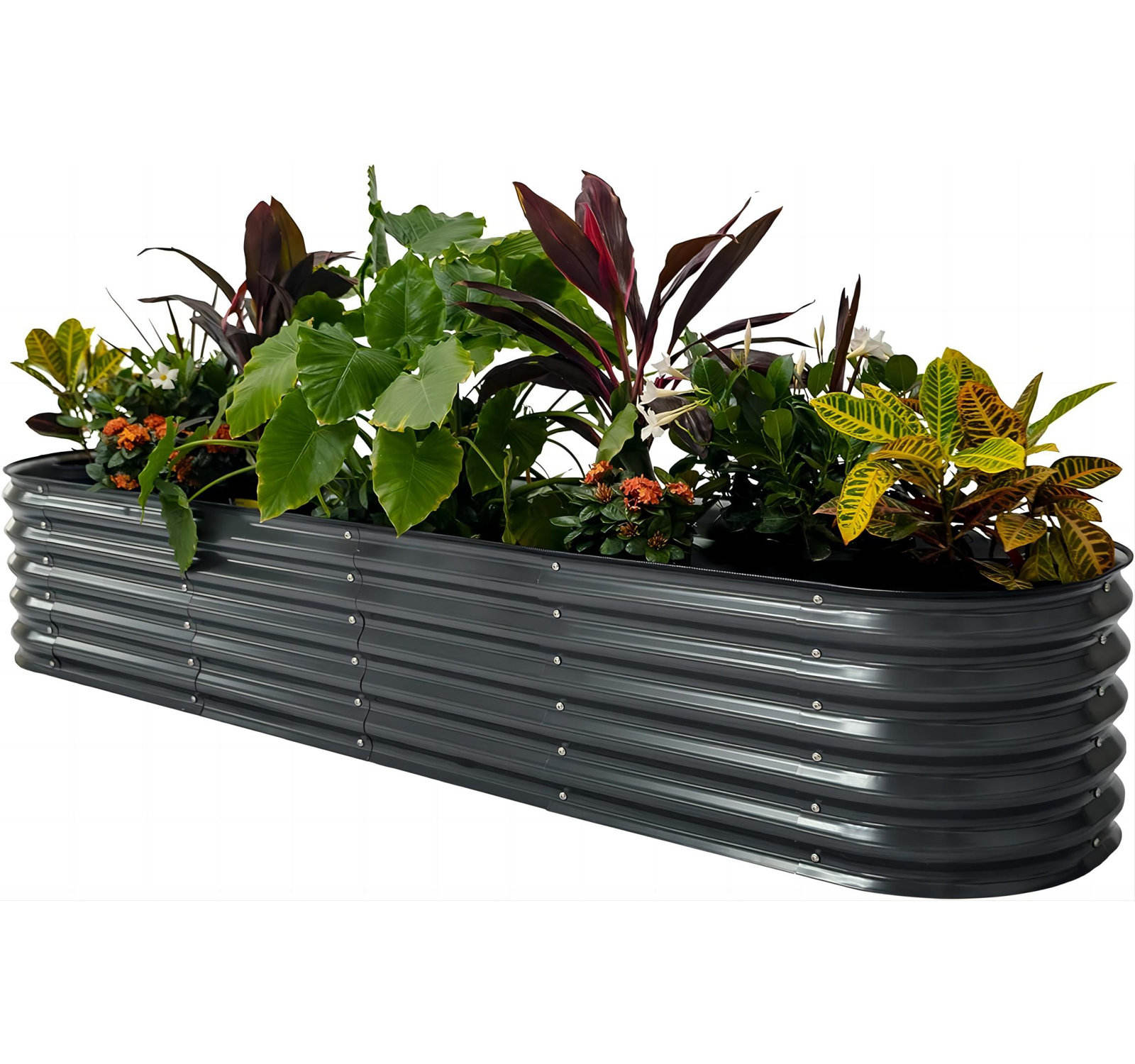 ตามที่แสดง