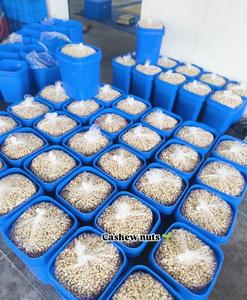 เม็ดมะม่วงหิมพานต์ดิบอบแห้ง แบบเม็ดเต็ม บรรจุภัณฑ์แบบขายส่ง อาหารว่างจากเวียดนาม สำหรับการแปรรูปอาหาร WW180 WW210 WW240 WW320 WW450 - Product Image 5