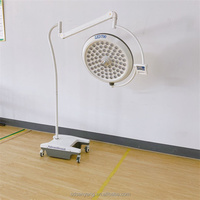 Lampe chirurgicale LED portable avec support, lampe d'opération vétérinaire mobile pour usage clinique